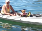 My Kayaking Dog