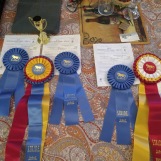 horse show champion ribbons